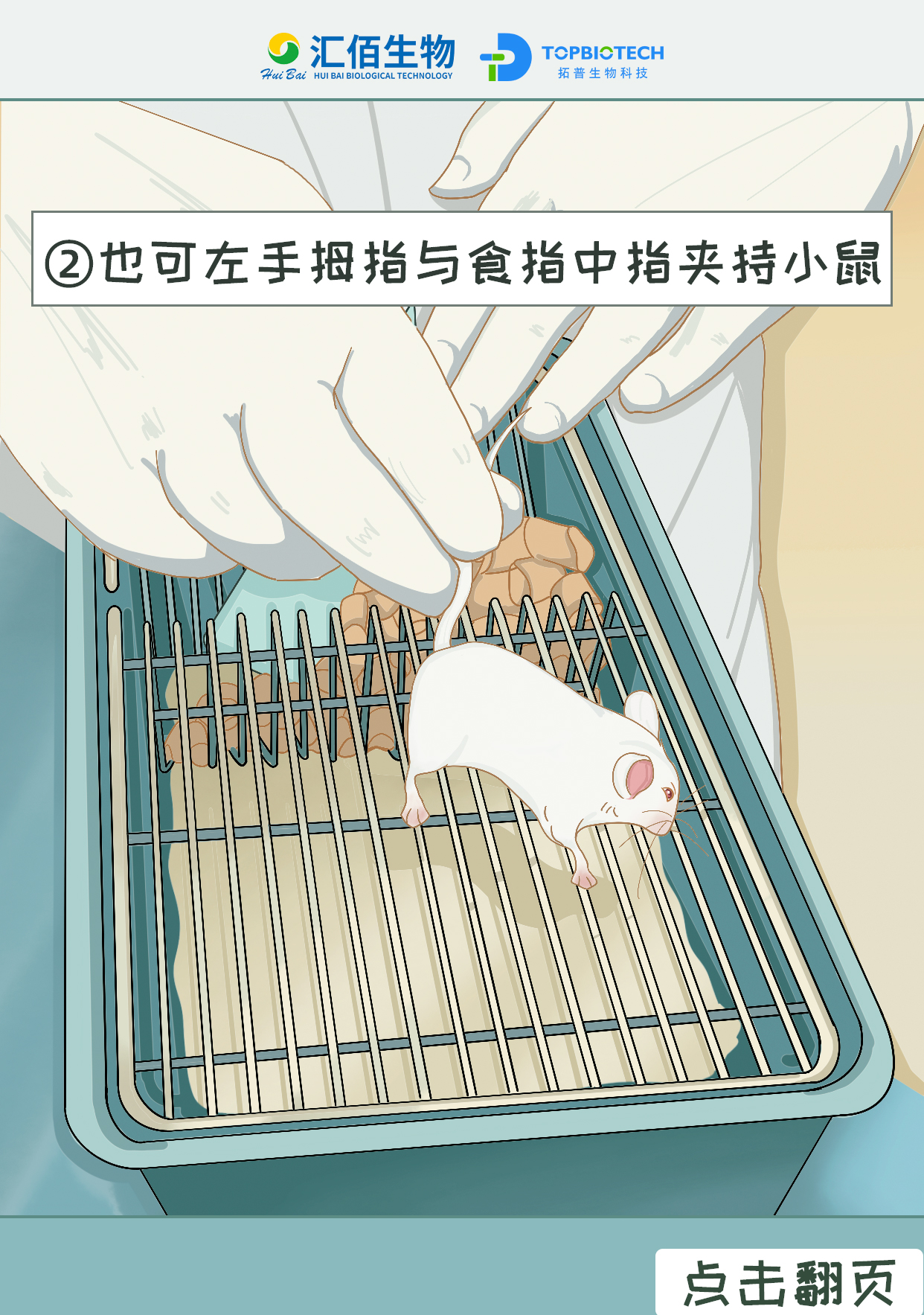 也可左手拇指与食指中指夹持小鼠1.jpg
