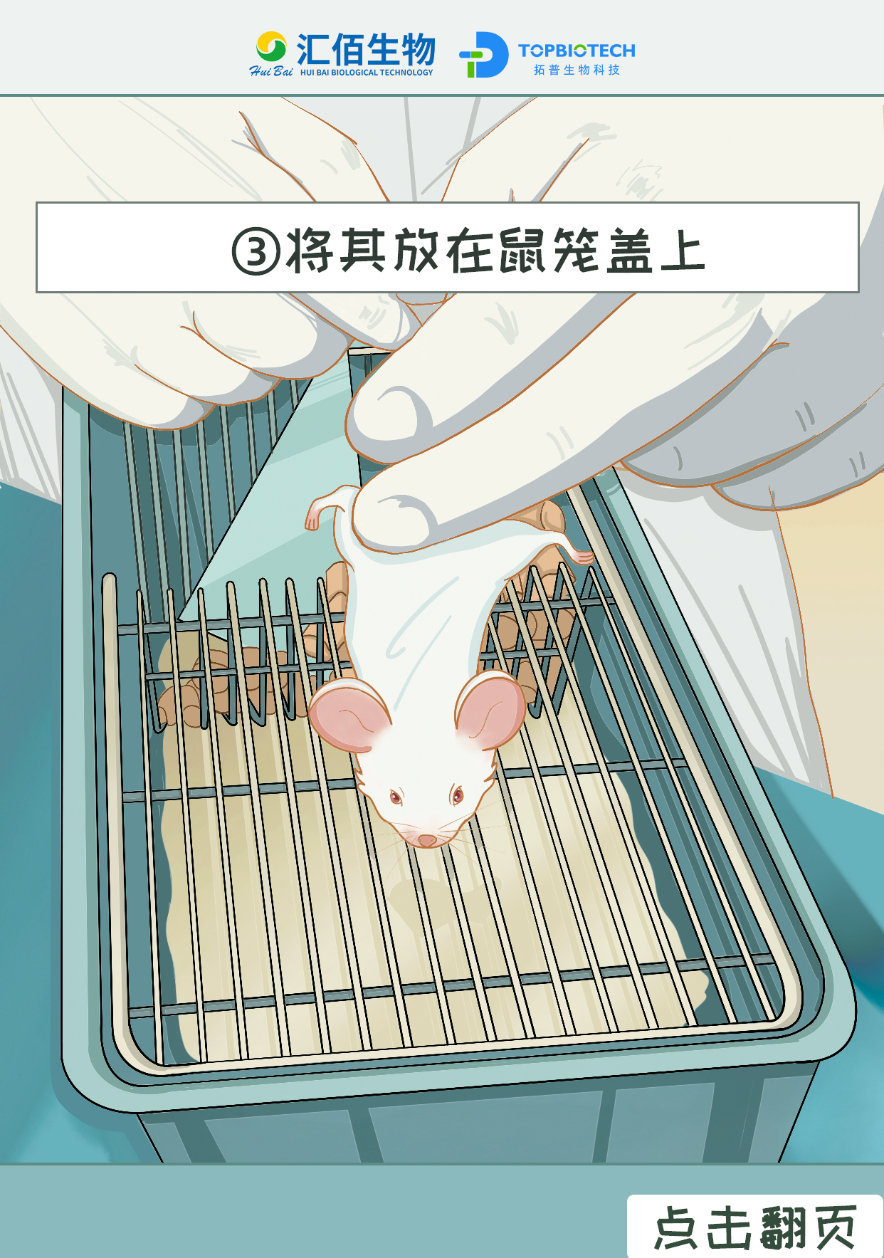 将其放在鼠笼盖上1.jpg