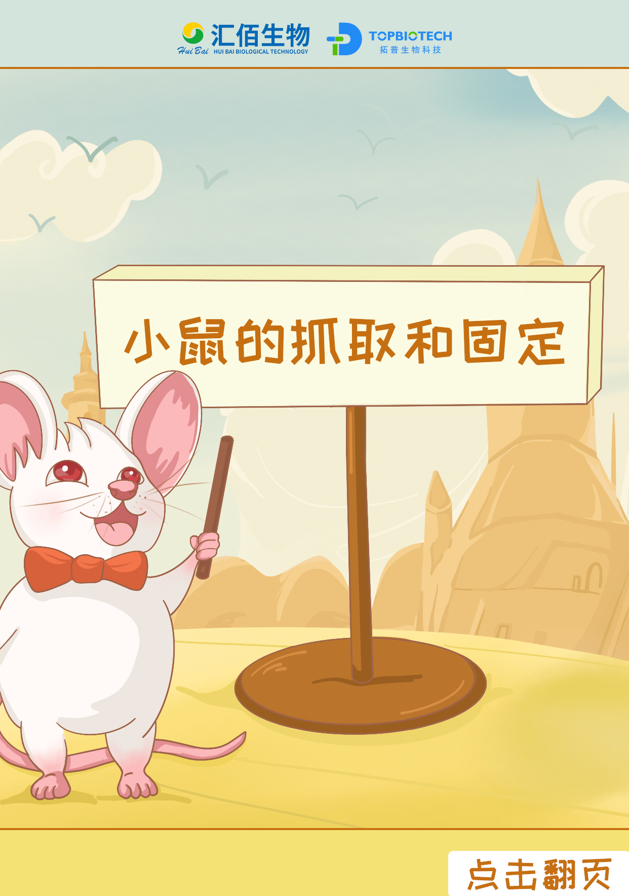 动物手绘封面二张2.jpg